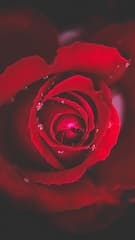 Картинка № 707
