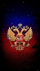 Картинка № 206