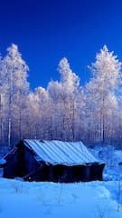 Картинка № 435