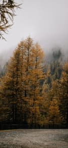 Картинка № 828