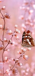 Картинка № 572