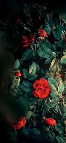 Картинка № 712