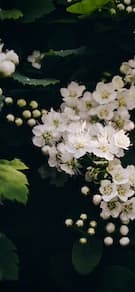 Картинка № 71