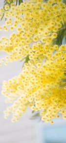 Картинка № 73