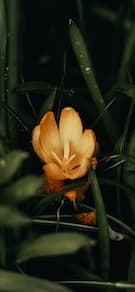 Картинка № 75