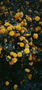Картинка № 87