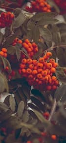 Картинка № 23