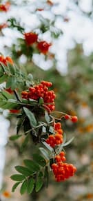 Картинка № 24