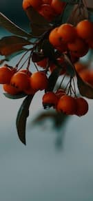 Картинка № 29