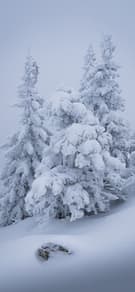 Картинка № 558