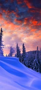 Картинка № 933