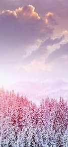 Картинка № 934