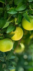 Картинка № 28
