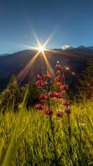 Картинка № 219