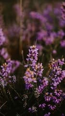 Картинка № 613