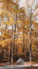 Картинка № 8