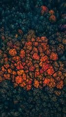 Картинка № 14