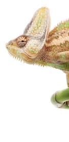 Картинка № 167