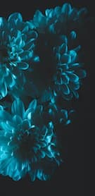 Картинка № 155