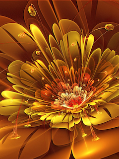 Flowers Wallpapers Part 1 Resolution Of